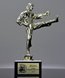 Picture of Karate Kick Trophy