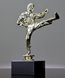 Picture of Karate Kick Trophy