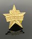 Picture of Star Performer Lapel Pin