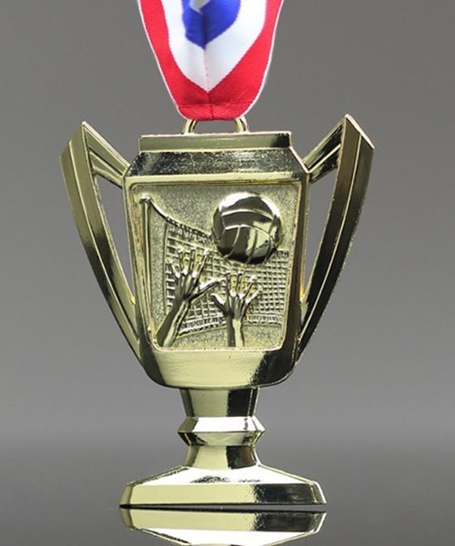 Picture of Volleyball Trophy Cup Medals