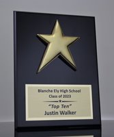 Picture of Star Employee Award Plaque