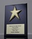 Picture of Star Employee Award Plaque