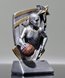 Picture of Basketball 3D Star Award - Female