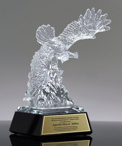 Picture of Regal Flight Crystal Eagle Award