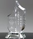 Picture of Clear Crystal Paragon Award