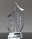 Picture of Clear Crystal Paragon Award