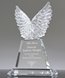 Picture of Crystal Wings Trophy