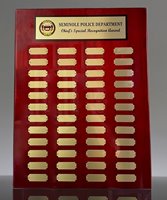 Picture of Special Recognition Perpetual Plaque