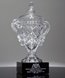 Picture of Judicial Champions Cup Trophy