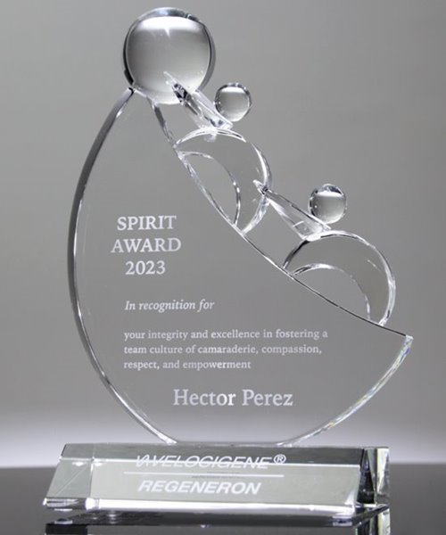 Picture of Perseverance Crystal Award