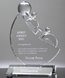 Picture of Perseverance Crystal Award