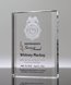 Picture of Crystal Merit Award with Color Fill