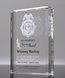 Picture of Crystal Merit Award with Color Fill