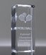 Picture of Pickleball 3-D Sports Cube Award