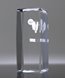 Picture of Pickleball 3-D Sports Cube Award