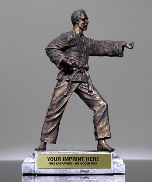 Picture of Classic Martial Arts Resin Trophy