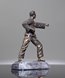 Picture of Classic Martial Arts Resin Trophy