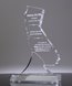 Picture of California Acrylic State Shape Trophy