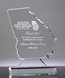 Picture of Georgia Acrylic State Shape Trophy