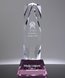 Picture of Presidential Tower Roseate Crystal Award