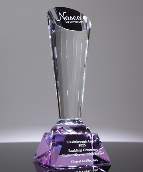Picture of Purple Crystal Spotlight Award