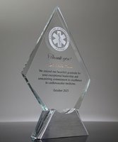 Picture of Physician of Excellence Award