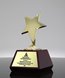 Picture of Divine Star Trophy