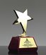 Picture of Divine Star Trophy
