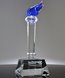 Picture of Blue Crystal Torch Award