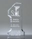 Picture of Number One Crystal Award