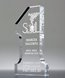 Picture of Number One Crystal Award