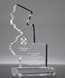 Picture of New Jersey Acrylic State Shape Trophy