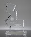 Picture of New Jersey Acrylic State Shape Trophy