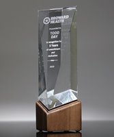 Picture of Crystal Top Performers Award