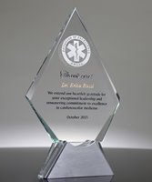 Picture of Physician of Excellence Award