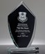 Picture of Apex Shield Glass Award