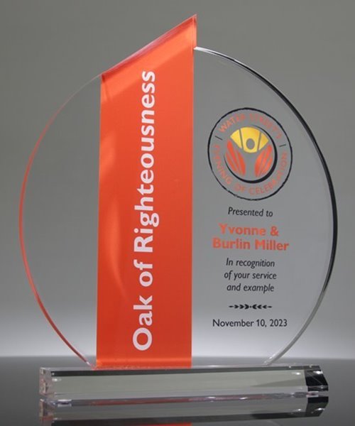 Picture of Acrylic Ellipse Award - Orange Theme