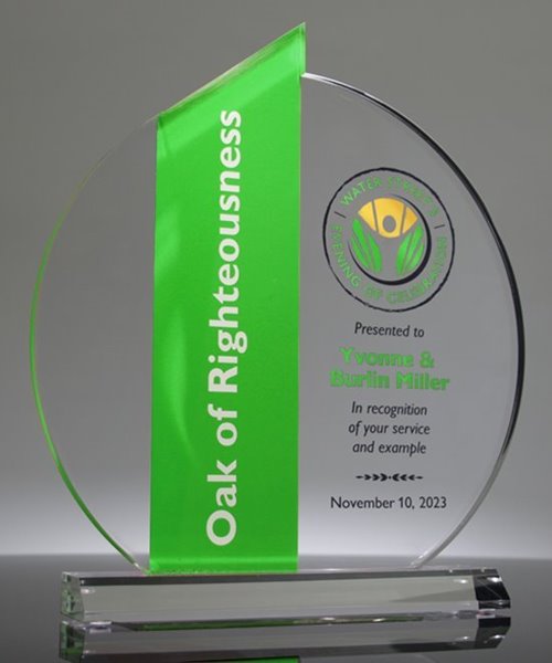 Picture of Acrylic Ellipse Award - Green Theme