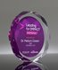 Picture of Employee Appreciation Acrylic Octagon Award