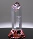 Picture of Diamond Tower Red Crystal Award