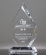 Picture of Diamond Excellence in Real Estate Award