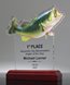 Picture of Bass Fishing Acrylic Trophy