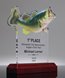 Picture of Bass Fishing Acrylic Trophy