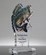 Picture of Master Angler Acrylic Fishing Award