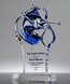 Picture of Majestic Marlin Fishing Award