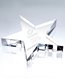 Picture of Flat Star Crystal Paperweight