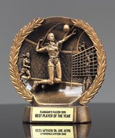 Picture of Bronzestone Volleyball Award - Female