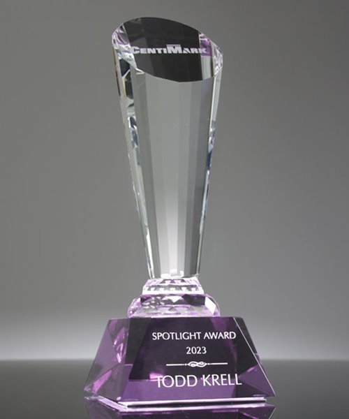 Picture of Purple Crystal Spotlight Award