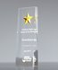 Picture of Gold Star Acrylic Award