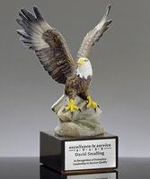 Picture of Bald Eagle Achievement Award